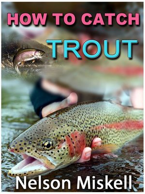 cover image of How To Catch Trout
